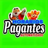 Imagem do canal de telegram HORARIOS AUTOMATIZADO PAGANTES 🐯🚀