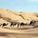 Imagem do canal de telegram Chave Mestra Brasil (Mídias Sociais)