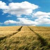 Imagem do grupo de telegram PALAVRA DE DEUS