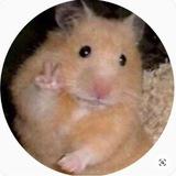 Imagem do canal de telegram Cabaré dos doidos 🤪🥴