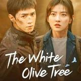 Imagem do canal de telegram A Oliveira branca | The White Olive Tree  | Meu querido nemêsis | Fingundo ser Pobre