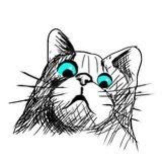 Imagem do grupo de telegram Briga Humana