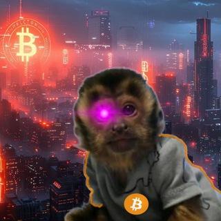 Imagem do grupo de telegram Comunidade do Rick