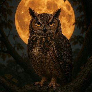 Imagem do canal de telegram Central dos Concursos | Método Sharingan