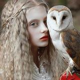 Imagem do canal de telegram Redpill Coruja