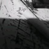 Imagem do canal de telegram # rip