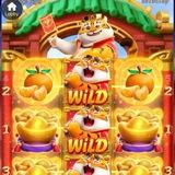 Imagem do canal de telegram Plataforma chinesa