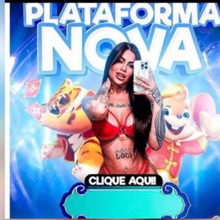 Imagem do grupo de telegram PLATAFORMAS NOVAS DE 10