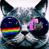 Imagem do grupo de telegram Buzzlive