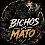 Imagem do grupo de telegram 𝐁𝐢𝐜𝐡𝐨𝐬 𝐝𝐨 𝐦𝐚𝐭𝐨 🌿