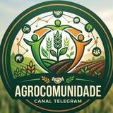 Imagem do canal de telegram Agro Comunidade