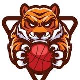 Imagem do canal de telegram Tiger Tips NBA 🏀