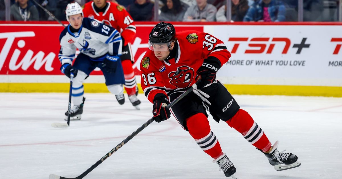 Rockford IceHogs IceHogs Fall to Moose on the Road