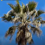 Saved public highlight cover 4 for @433