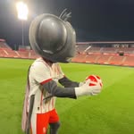 Saved public highlight cover 6 for @433