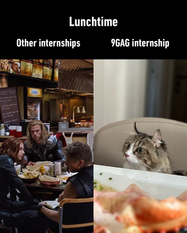 Saved public post media preview 1 from @9gag snapshot