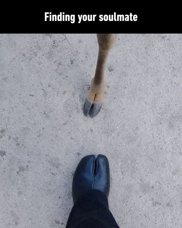 Saved public post media preview 4 from @9gag snapshot