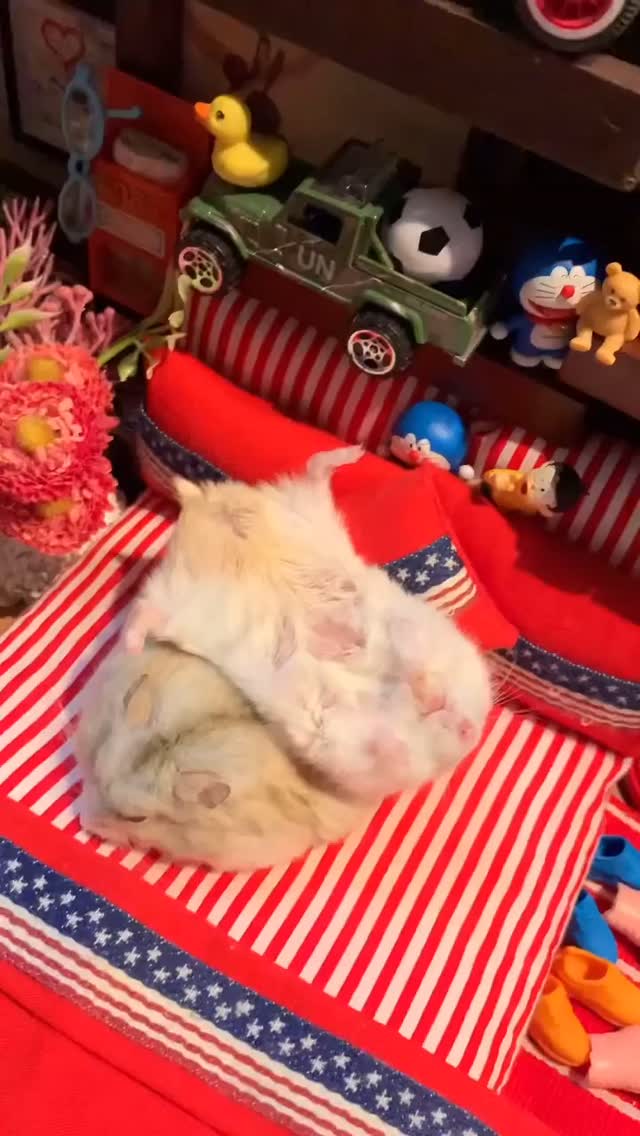 Saved public post media preview 9 from @9gag snapshot