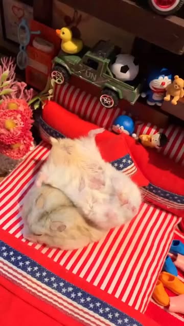 Saved public reels media preview 4 from @9gag snapshot