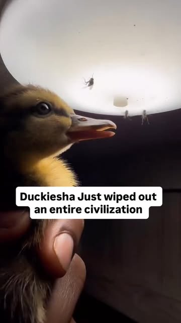 Saved public reels media preview 7 from @9gag snapshot