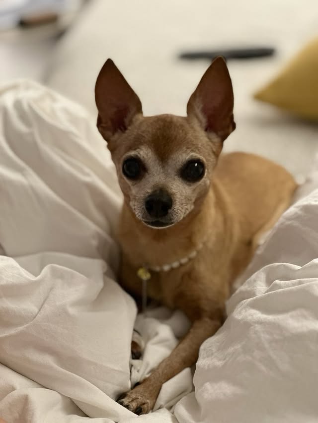 Saved public post media preview 8 from @actorleeminho snapshot