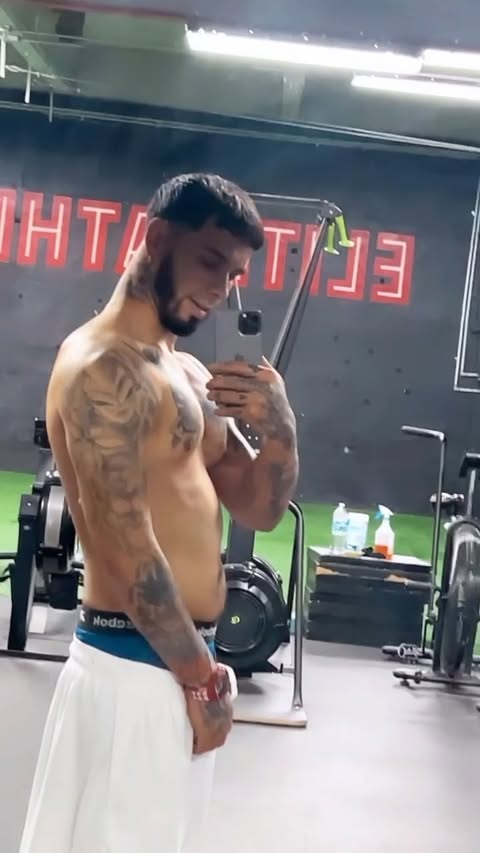 Saved public reels media preview 9 from @anuel snapshot