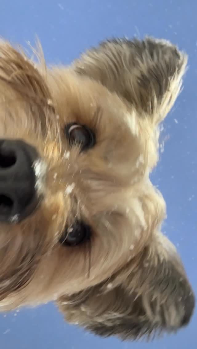 Saved public post media preview 5 from @apple snapshot