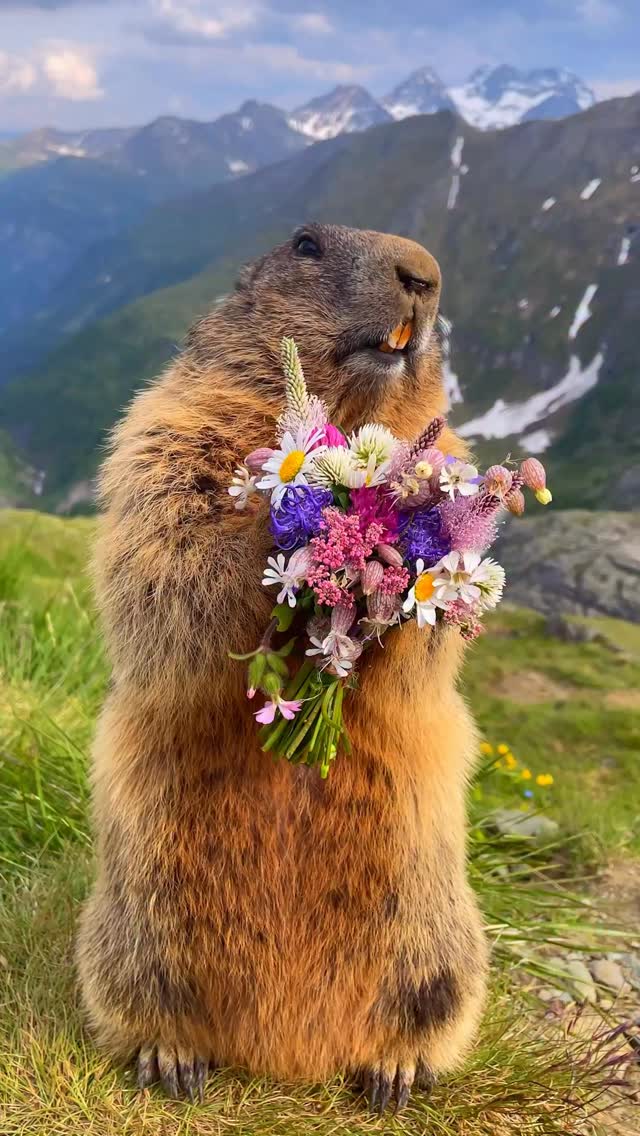 Saved public post media preview 7 from @apple snapshot