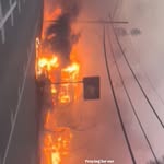 Saved public highlight cover 2 for @bellahadid