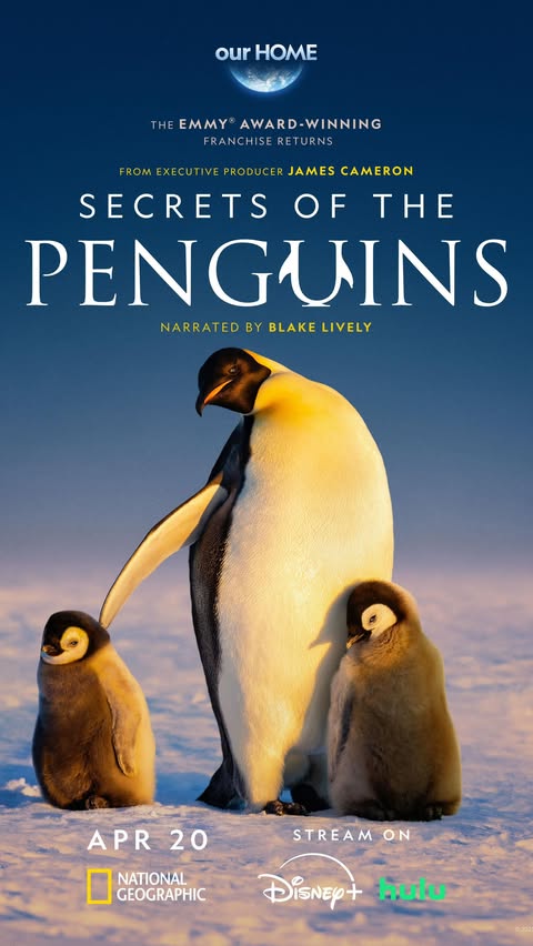 Saved public reels media preview 9 from @blakelively snapshot