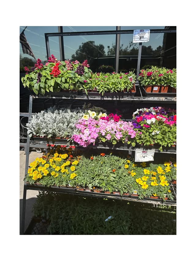 Saved public post media preview 9 from @britneyspears snapshot