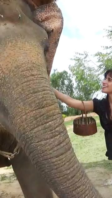 Saved public reels media preview 3 from @camila_cabello snapshot