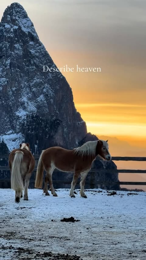 Saved public reels media preview 9 from @chiaraferragni snapshot