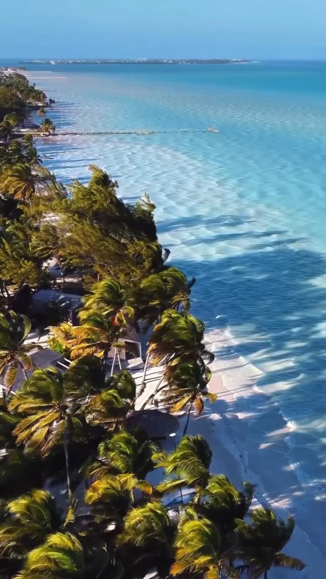 Saved public post media preview 3 from @ciara snapshot