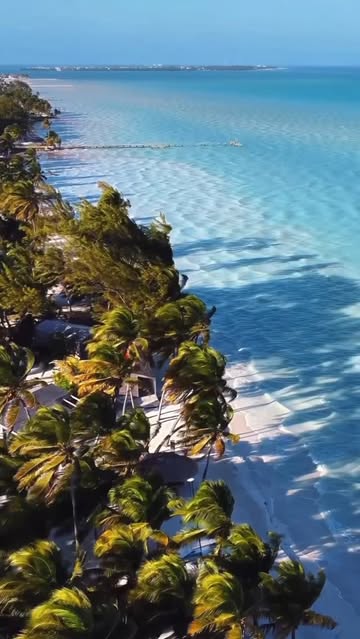 Saved public reels media preview 2 from @ciara snapshot