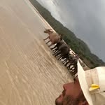 Saved public highlight cover 8 for @davidbeckham