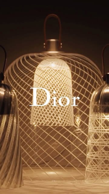 Saved public reels media preview 2 from @dior snapshot