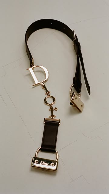 Saved public reels media preview 3 from @dior snapshot