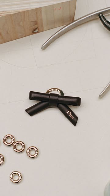 Saved public reels media preview 6 from @dior snapshot