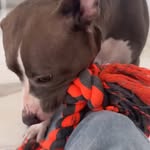 Saved public highlight cover 8 for @dishapatani