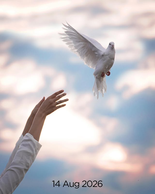 Saved public post media preview 1 from @dishapatani snapshot