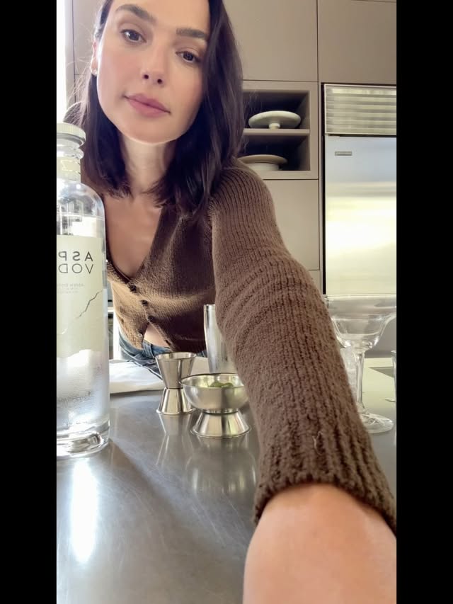 Saved public post media preview 6 from @gal_gadot snapshot