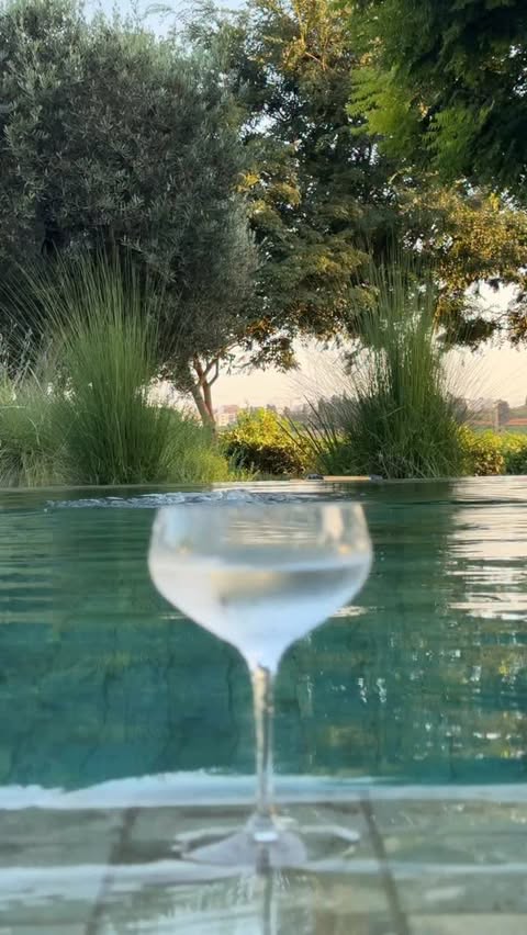 Saved public reels media preview 4 from @gal_gadot snapshot