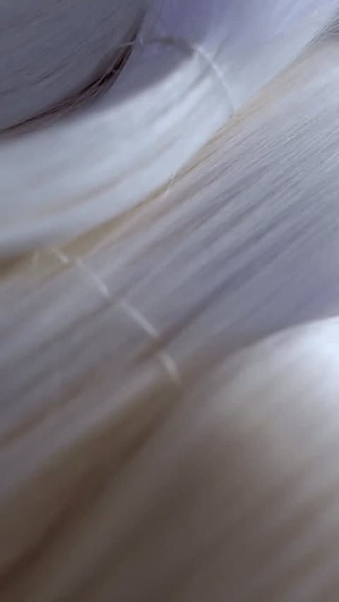 Saved public reels media preview 2 from @gucci snapshot