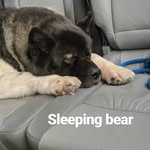 Saved public highlight cover 3 for @henrycavill