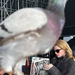 Saved public highlight cover 4 for @hm