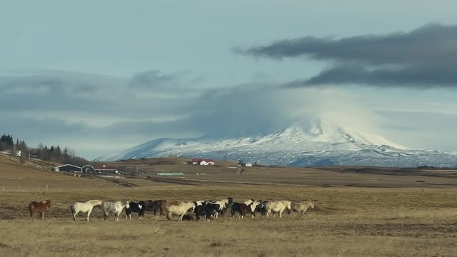 Saved public post media preview 6 from @hynjinnnn snapshot