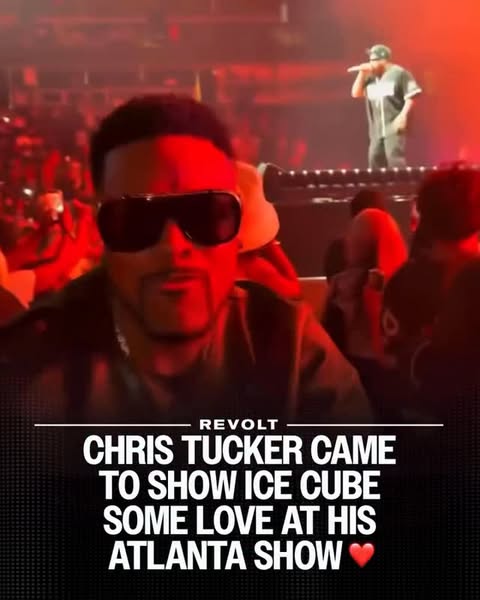 Saved public reels media preview 6 from @icecube snapshot