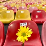 Saved public highlight cover 2 for @jbalvin