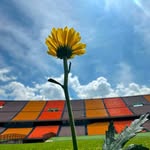 Saved public highlight cover 3 for @jbalvin